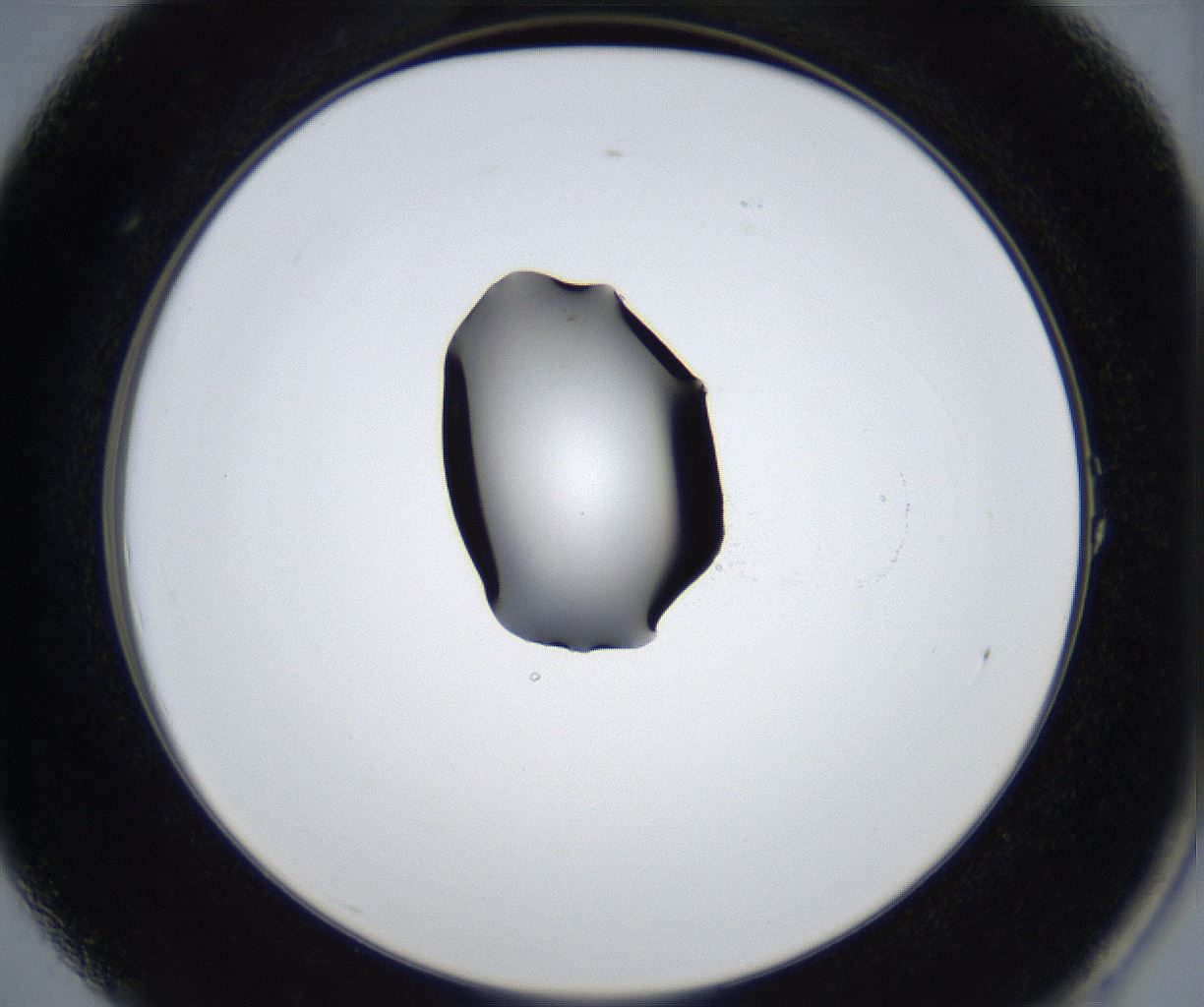 folderID543_plateID2543_batchID12512_wellNum1_profileID1_d2_r193253_ef.jpg