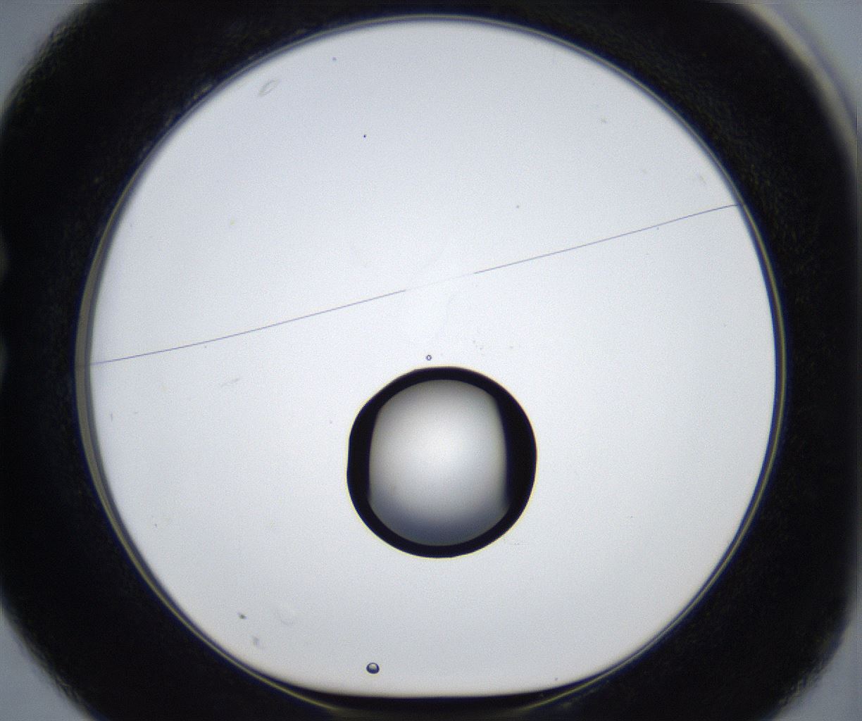 folderID543_plateID2543_batchID12512_wellNum25_profileID1_d1_r193300_ef.jpg