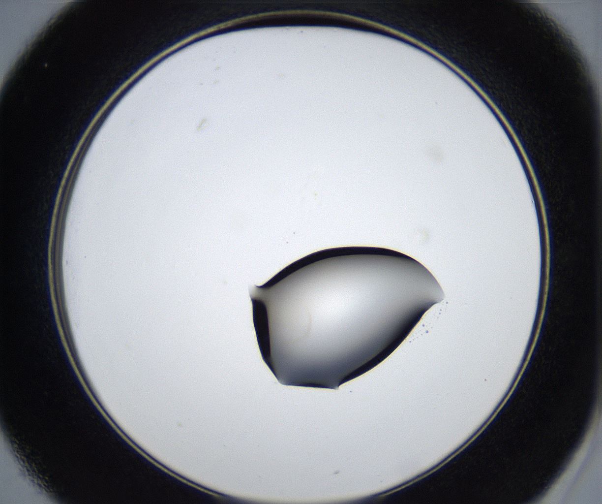 folderID543_plateID2543_batchID12512_wellNum25_profileID1_d2_r193301_ef.jpg