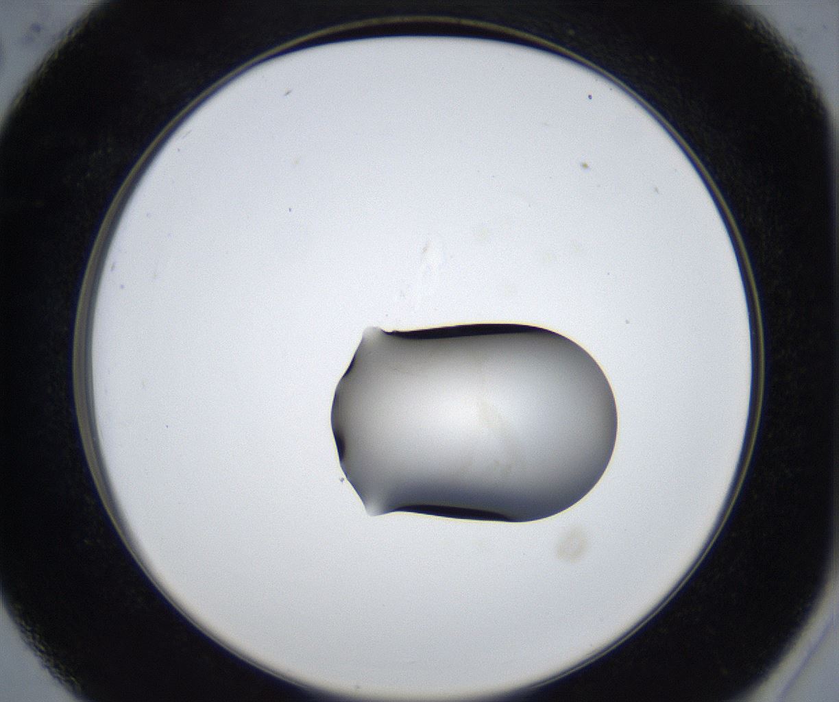 folderID543_plateID2543_batchID12512_wellNum26_profileID1_d2_r193303_ef.jpg