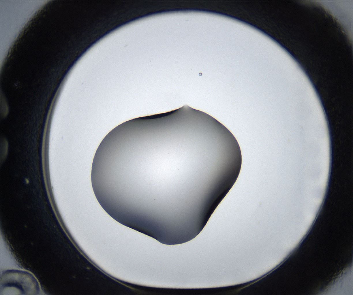 folderID543_plateID2543_batchID12512_wellNum36_profileID1_d1_r193322_ef.jpg