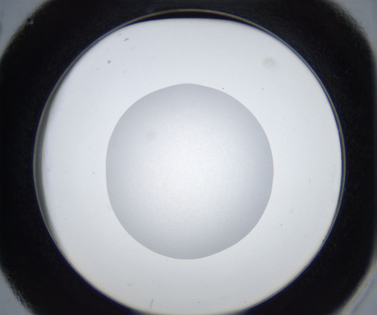 folderID543_plateID2543_batchID12512_wellNum38_profileID1_d2_r193327_ef.jpg