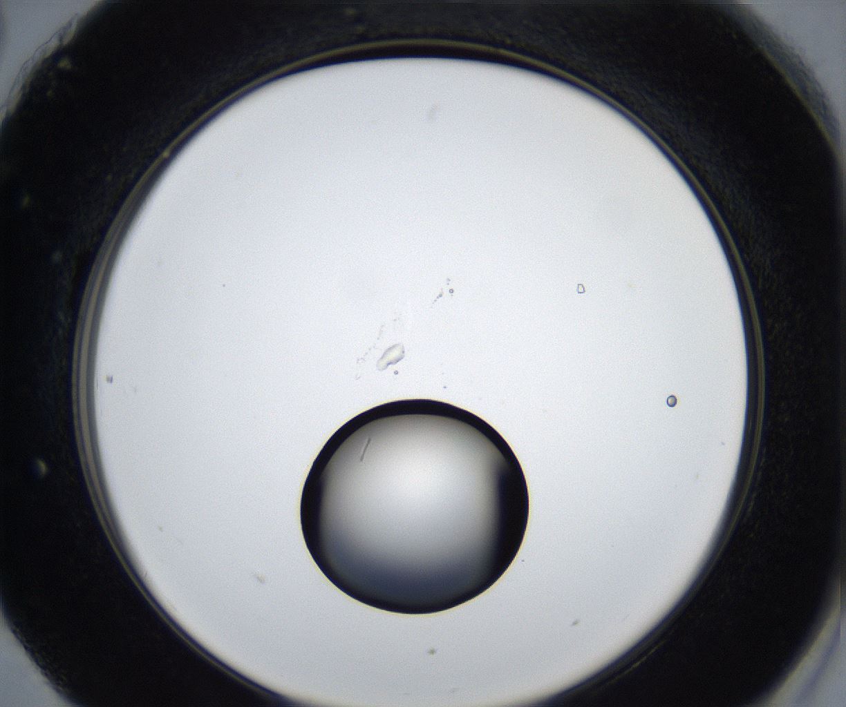 folderID543_plateID2543_batchID12512_wellNum90_profileID1_d2_r193431_ef.jpg