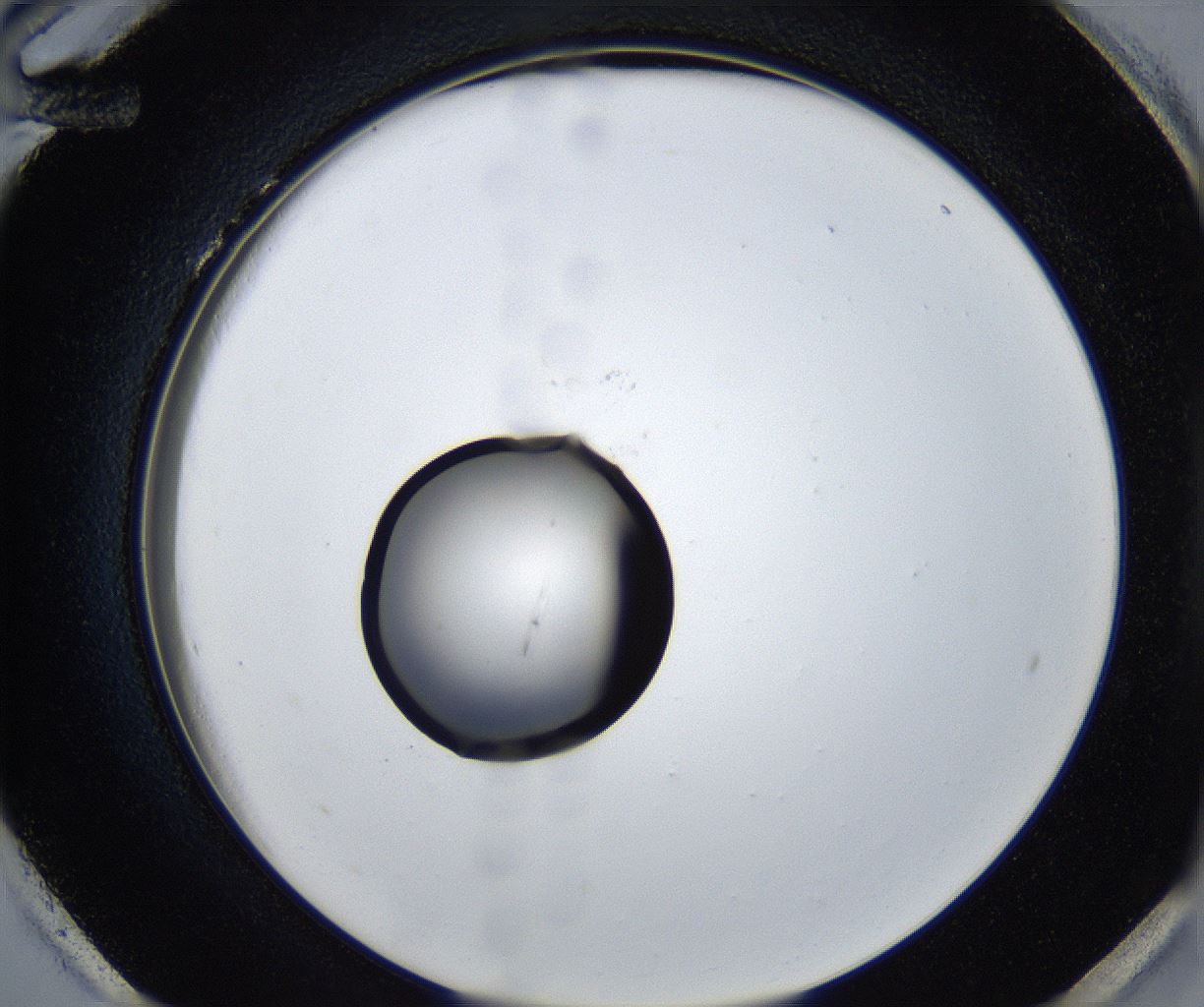 folderID543_plateID2543_batchID12512_wellNum96_profileID1_d2_r193443_ef.jpg