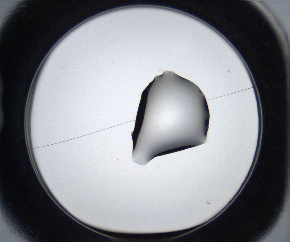 folderID545_plateID2545_batchID12514_wellNum13_profileID1_d1_r193660_ef.jpg