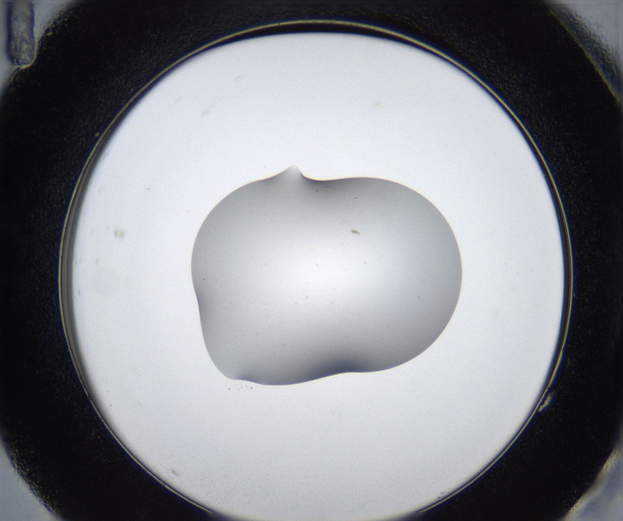 folderID545_plateID2545_batchID12514_wellNum83_profileID1_d2_r193801_ef.jpg