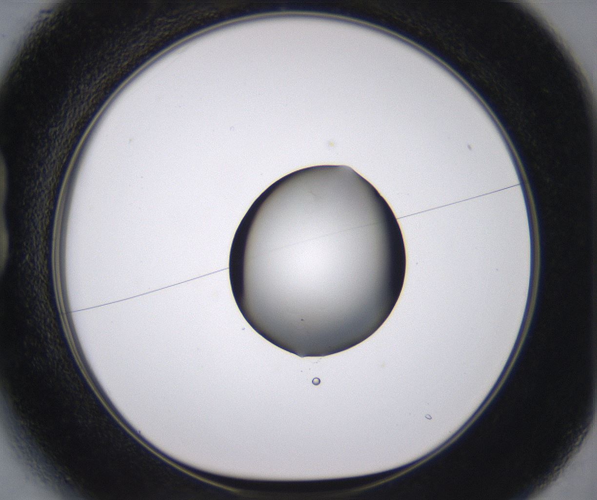 folderID538_plateID2538_batchID12513_wellNum13_profileID1_d1_r193468_ef.jpg