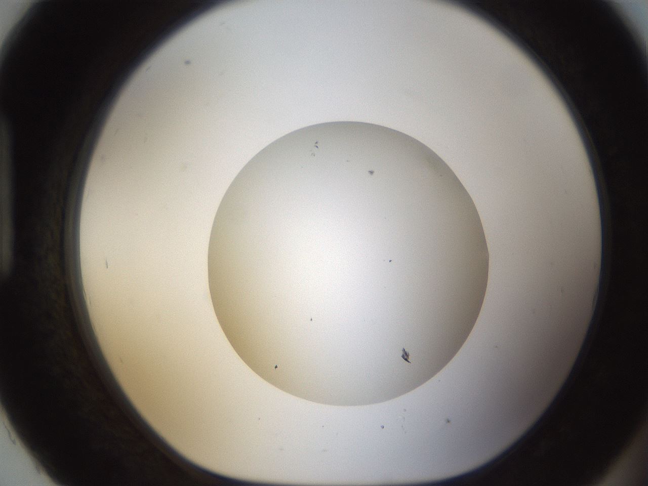 folderID53_plateID1053_batchID2251_wellNum93_profileID1_d1_r47405_ef.jpg
