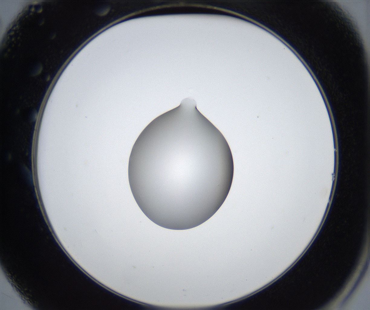 folderID545_plateID2545_batchID12514_wellNum14_profileID1_d2_r193663_ef.jpg