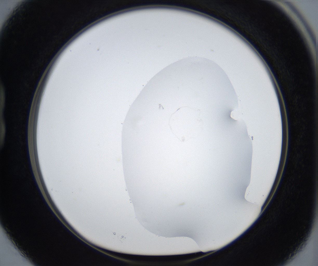 folderID545_plateID2545_batchID12514_wellNum15_profileID1_d1_r193664_ef.jpg