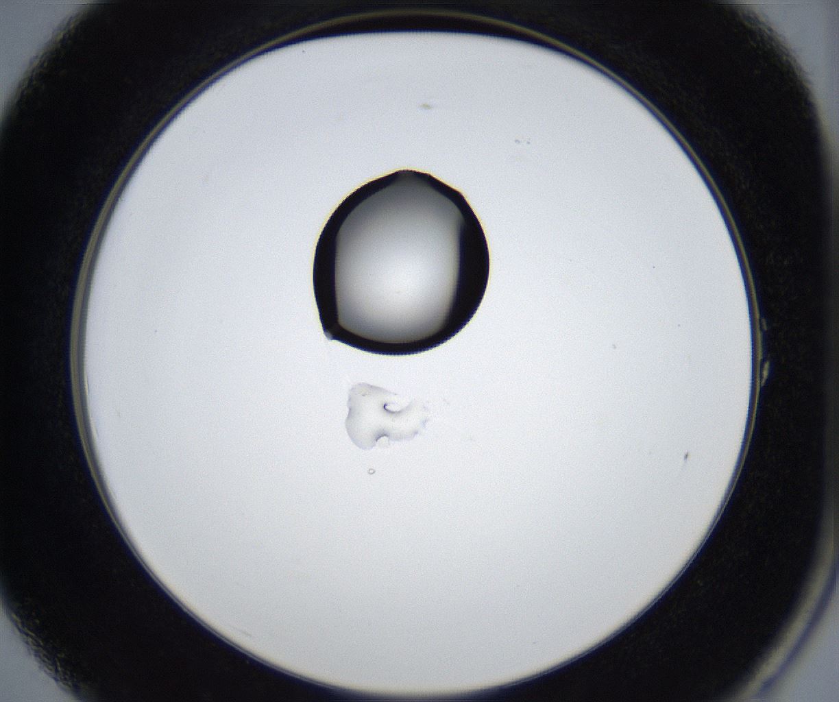 folderID545_plateID2545_batchID12514_wellNum1_profileID1_d2_r193637_ef.jpg