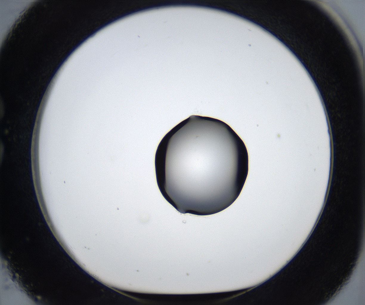 folderID545_plateID2545_batchID12514_wellNum26_profileID1_d1_r193686_ef.jpg