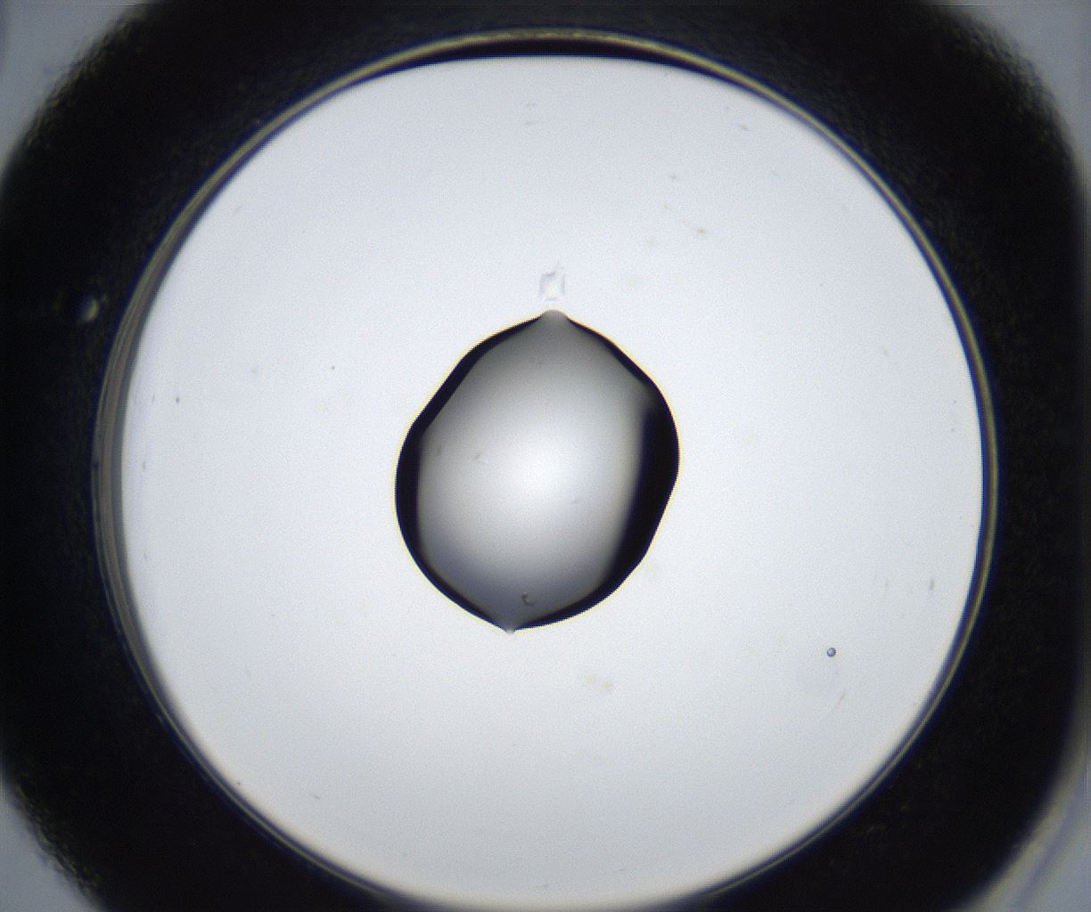 folderID545_plateID2545_batchID12514_wellNum39_profileID1_d2_r193713_ef.jpg