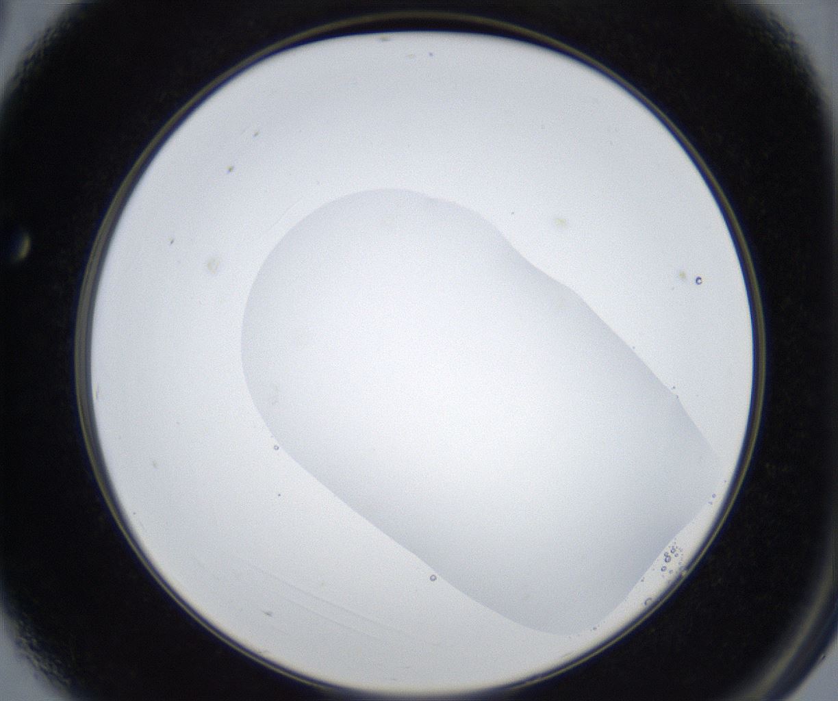 folderID545_plateID2545_batchID12514_wellNum3_profileID1_d2_r193641_ef.jpg