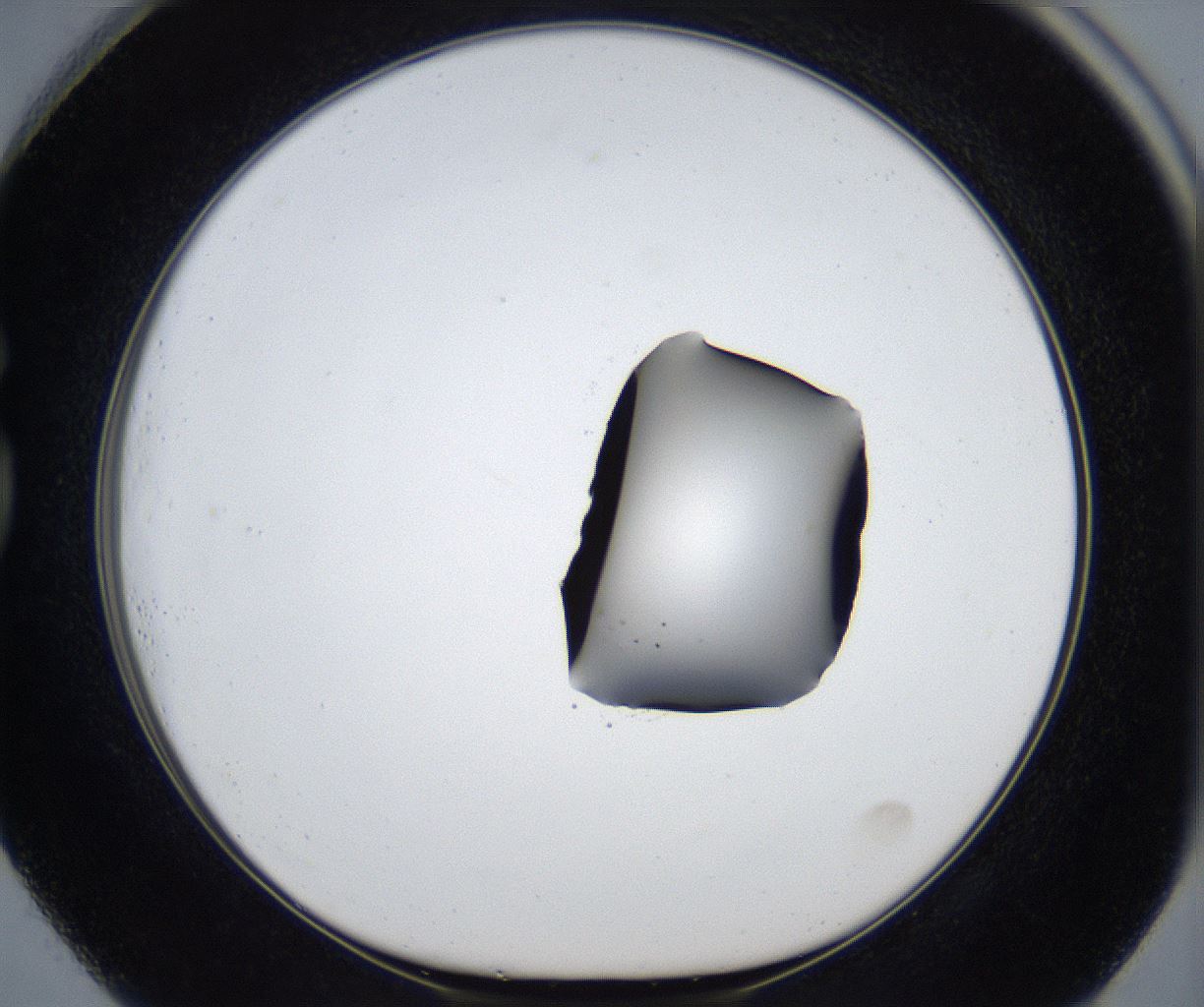 folderID545_plateID2545_batchID12514_wellNum73_profileID1_d1_r193780_ef.jpg