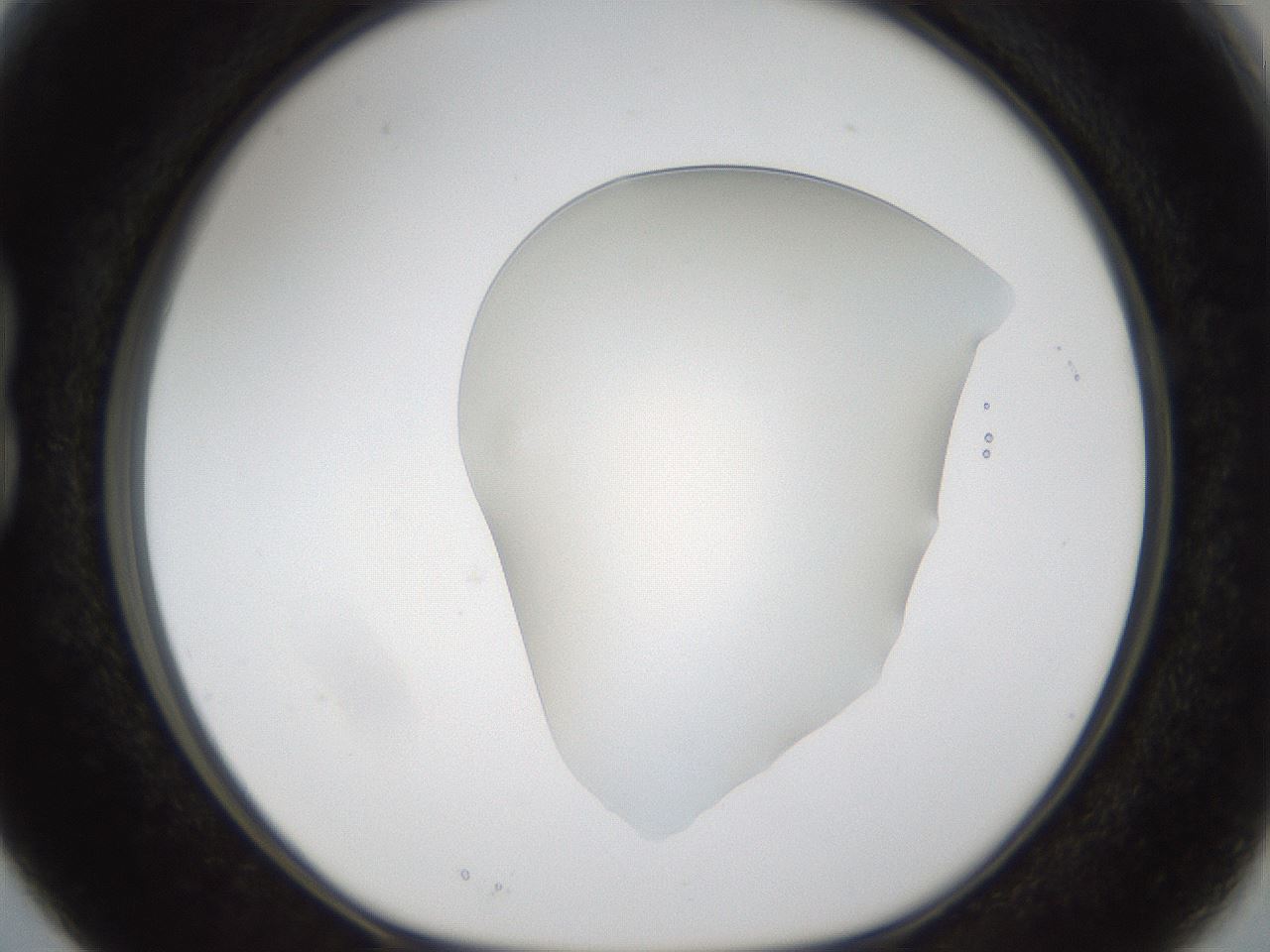 folderID54_plateID1054_batchID2252_wellNum15_profileID1_d1_r47423_ef.jpg