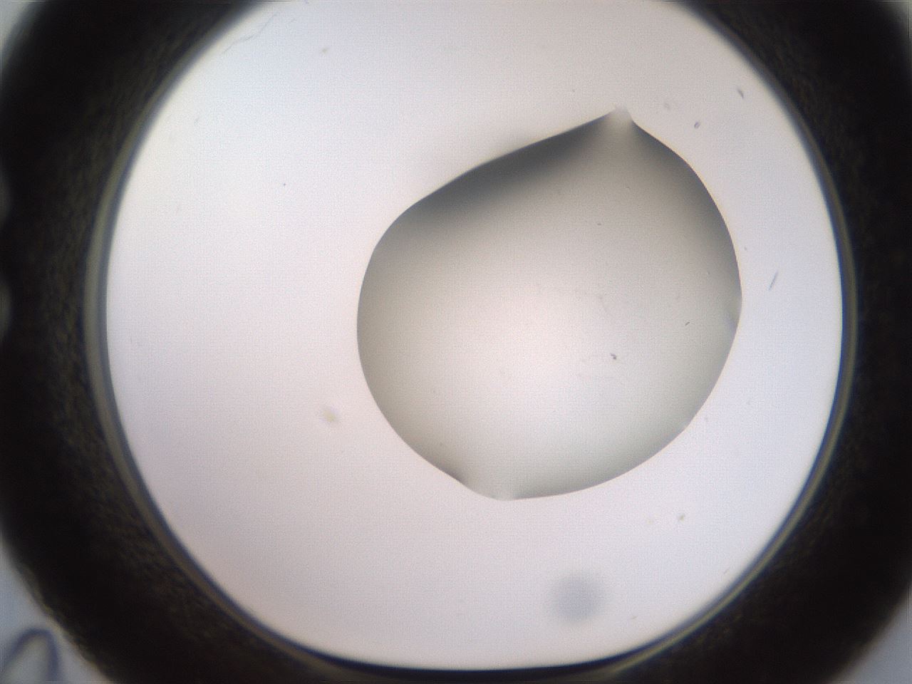 folderID551_plateID2551_batchID12612_wellNum35_profileID1_d1_r194475_ef.jpg
