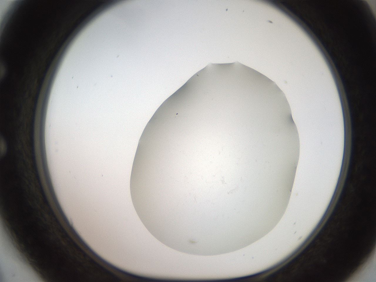 folderID551_plateID2551_batchID12612_wellNum54_profileID1_d1_r194513_ef.jpg