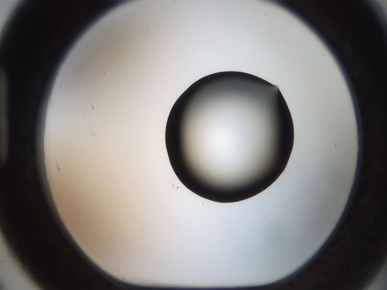 folderID551_plateID2551_batchID12612_wellNum91_profileID1_d1_r194587_ef.jpg