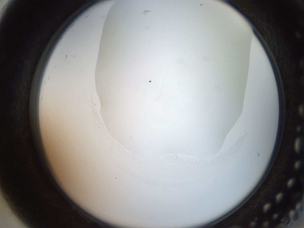 folderID551_plateID2551_batchID12612_wellNum92_profileID1_d2_r194590_ef.jpg