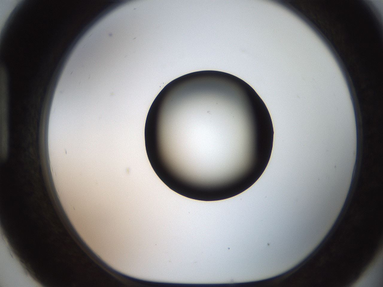 folderID551_plateID2551_batchID12612_wellNum93_profileID1_d1_r194591_ef.jpg