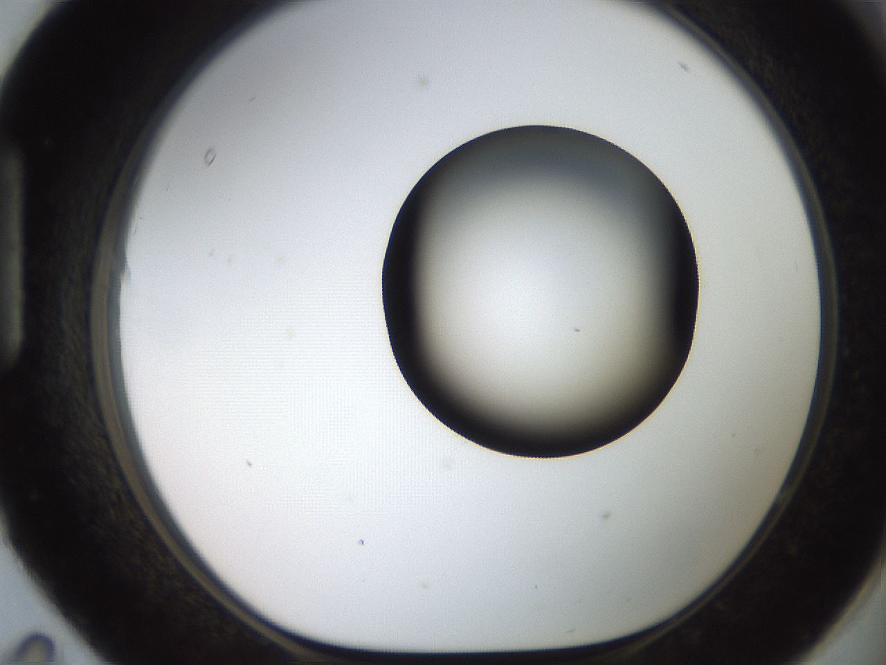 folderID551_plateID2551_batchID12612_wellNum95_profileID1_d1_r194595_ef.jpg
