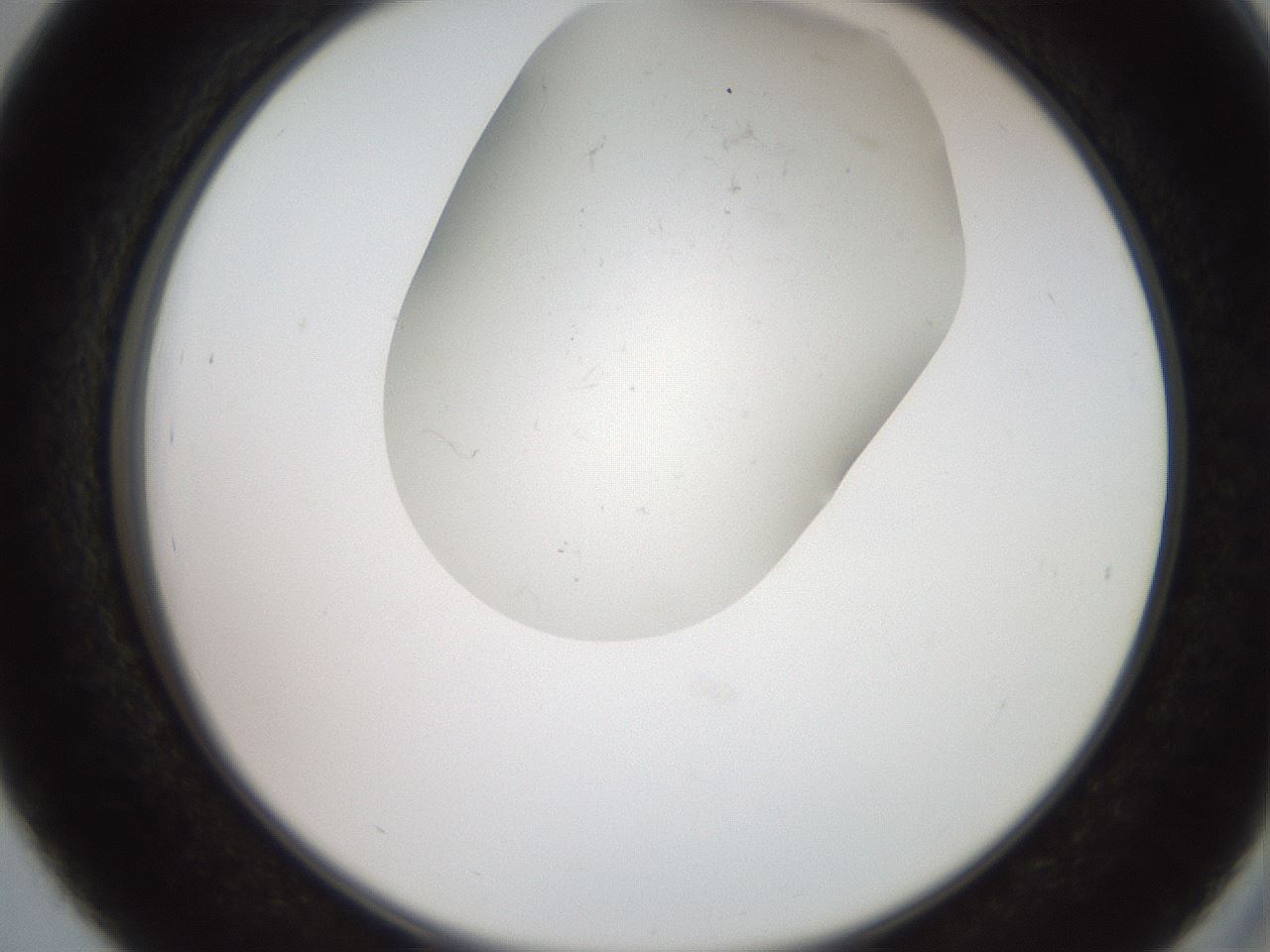 folderID553_plateID2553_batchID12617_wellNum39_profileID1_d2_r194676_ef.jpg
