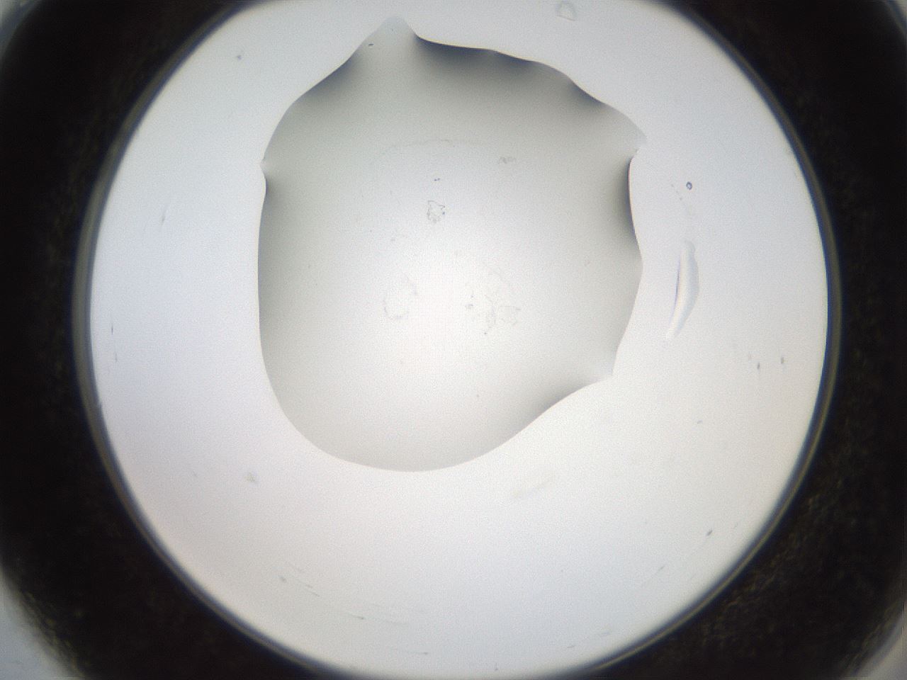 folderID553_plateID2553_batchID12617_wellNum4_profileID1_d2_r194606_ef.jpg