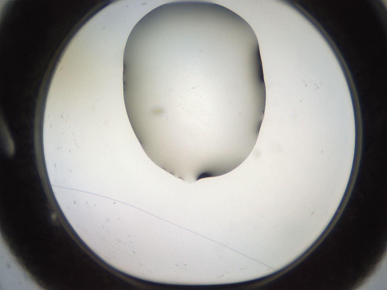 folderID553_plateID2553_batchID12617_wellNum9_profileID1_d1_r194615_ef.jpg