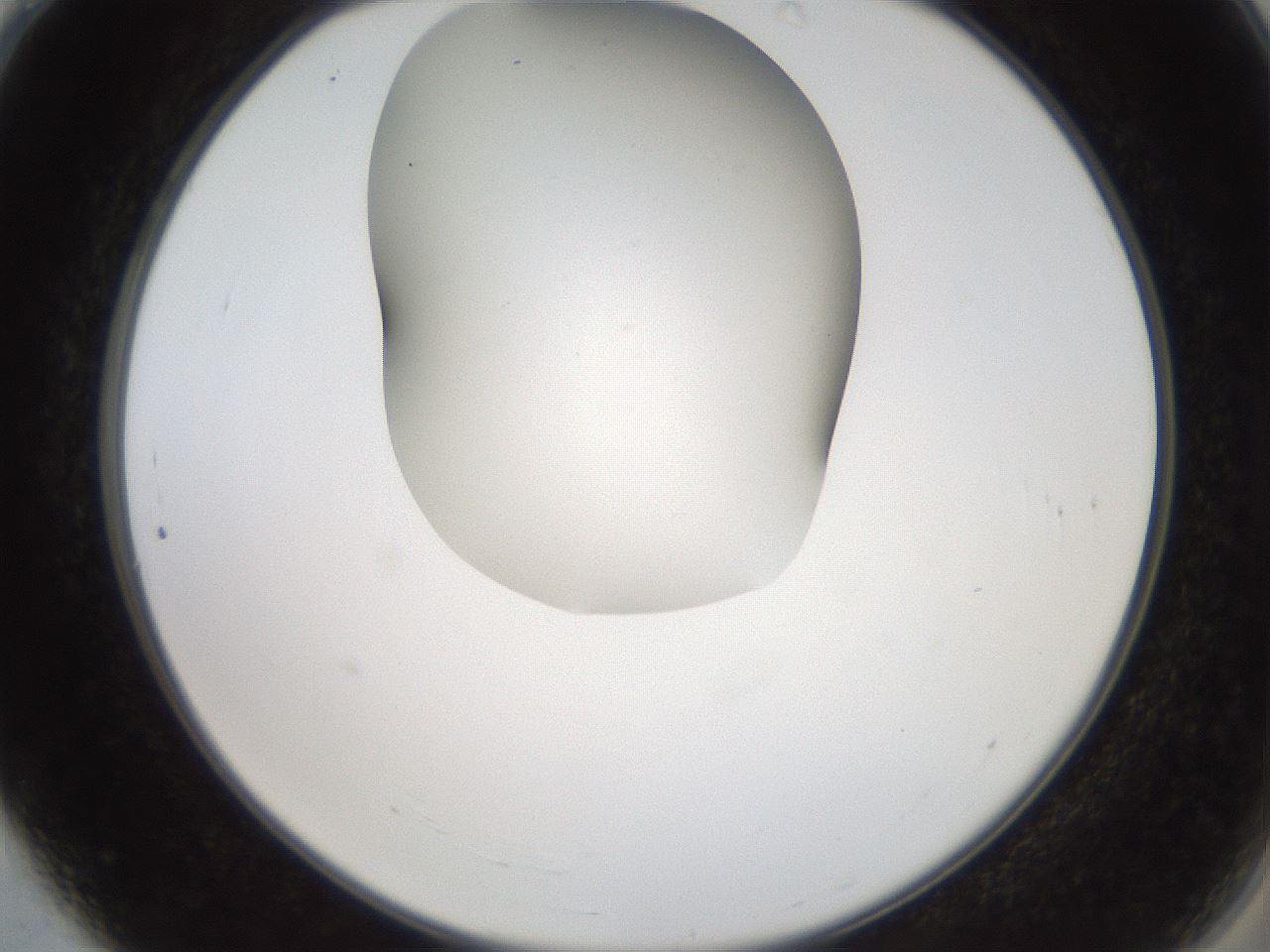 folderID555_plateID2555_batchID12621_wellNum4_profileID1_d2_r194798_ef.jpg