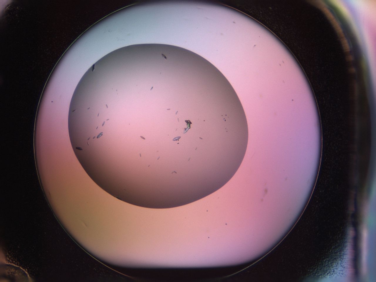 02nn_F12_ImagerDefaults_6.jpg