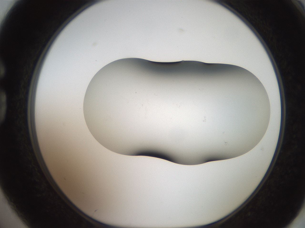 folderID555_plateID2555_batchID12621_wellNum74_profileID1_d1_r194937_ef.jpg
