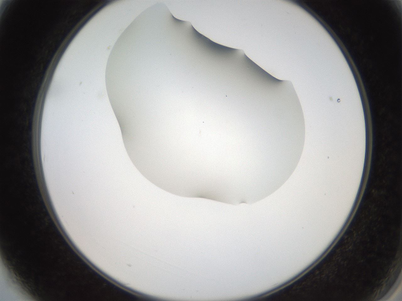 folderID555_plateID2555_batchID12621_wellNum3_profileID1_d2_r194796_ef.jpg