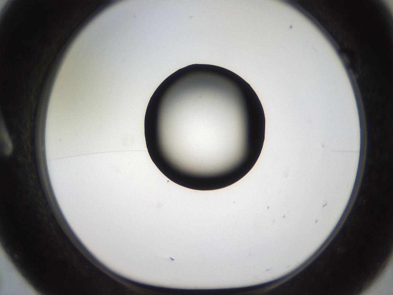folderID555_plateID2555_batchID12621_wellNum7_profileID1_d1_r194803_ef.jpg