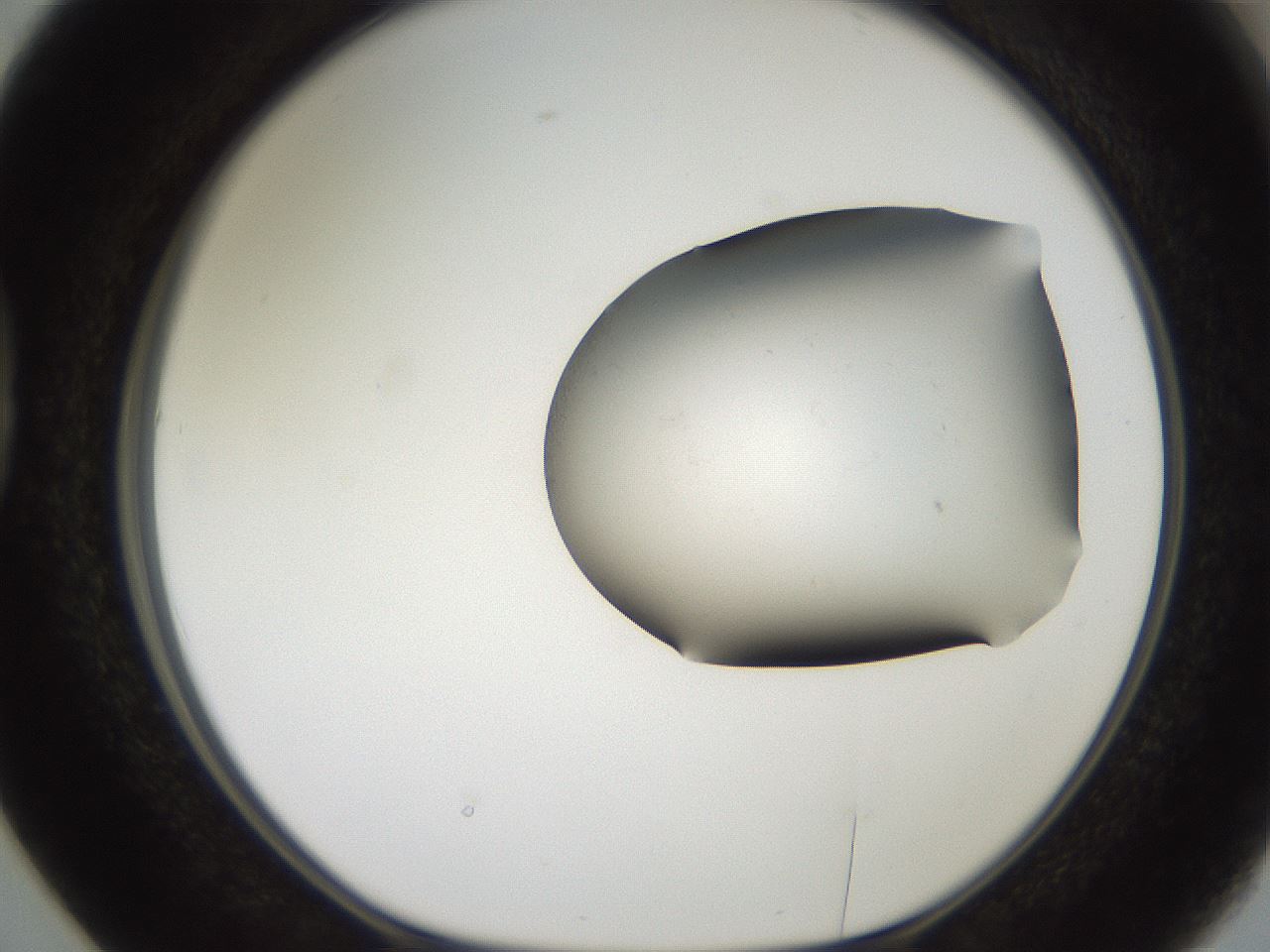 folderID561_plateID2561_batchID12867_wellNum38_profileID1_d1_r195731_ef.jpg