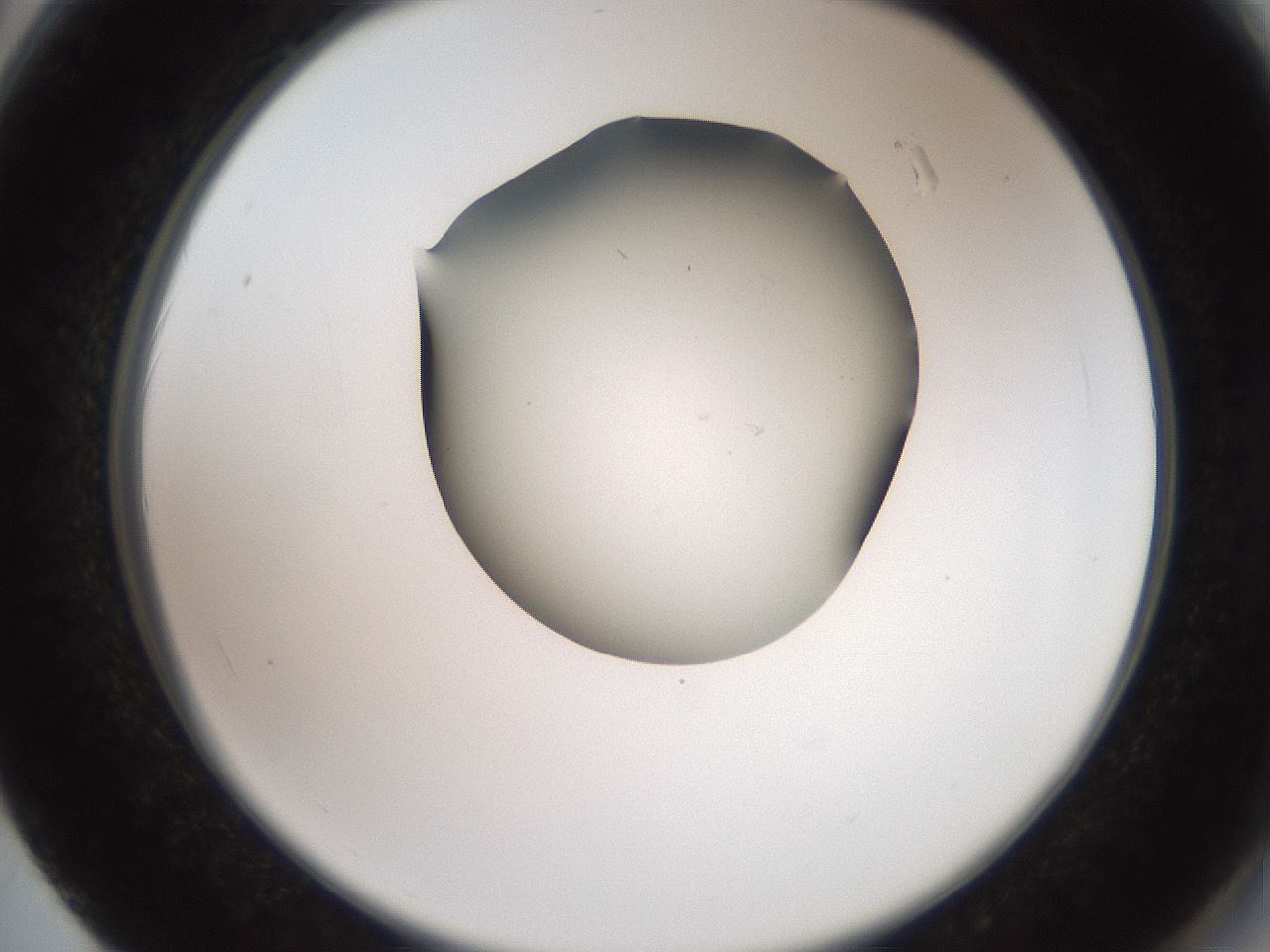 folderID561_plateID2561_batchID12867_wellNum62_profileID1_d2_r195780_ef.jpg