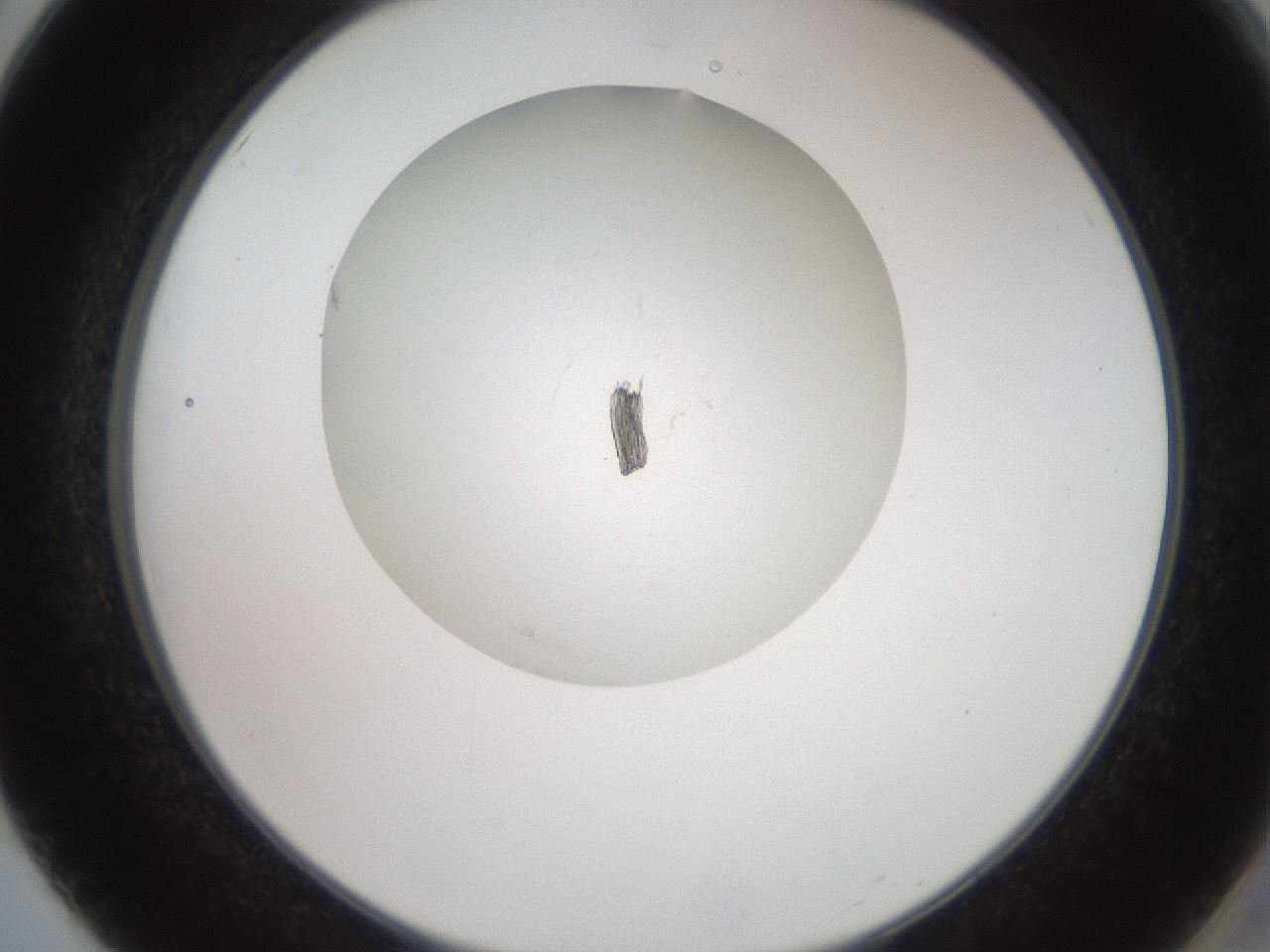 folderID561_plateID2561_batchID12870_wellNum50_profileID1_d2_r195756_ef.jpg