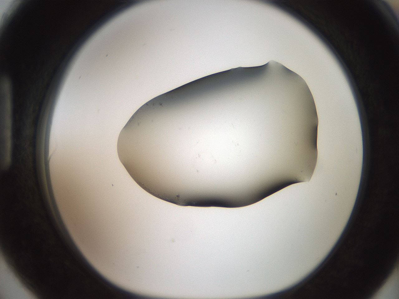 folderID561_plateID2561_batchID12870_wellNum90_profileID1_d1_r195835_ef.jpg