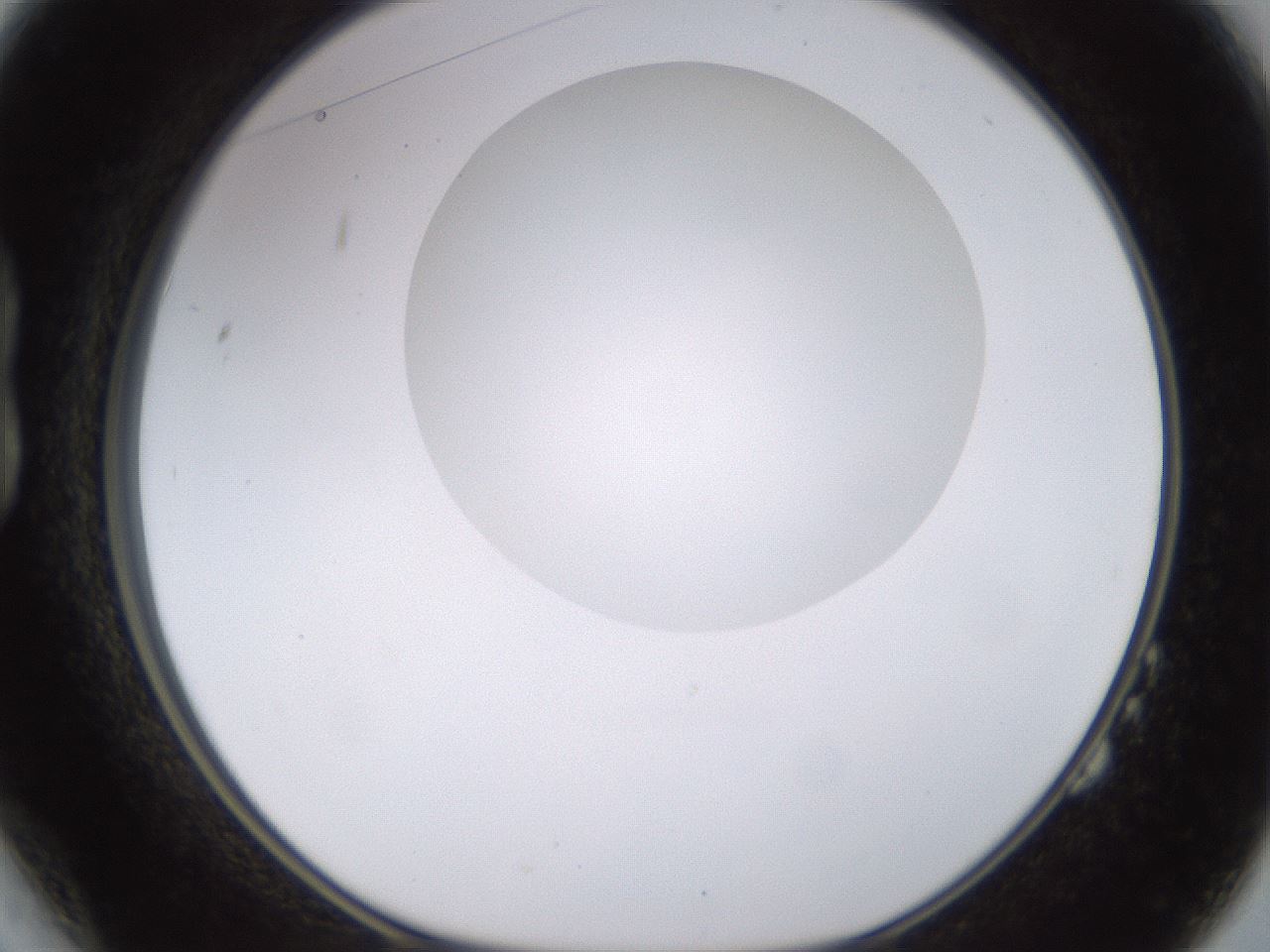 folderID562_plateID1562_batchID6303_wellNum14_profileID1_d1_r101377_ef.jpg