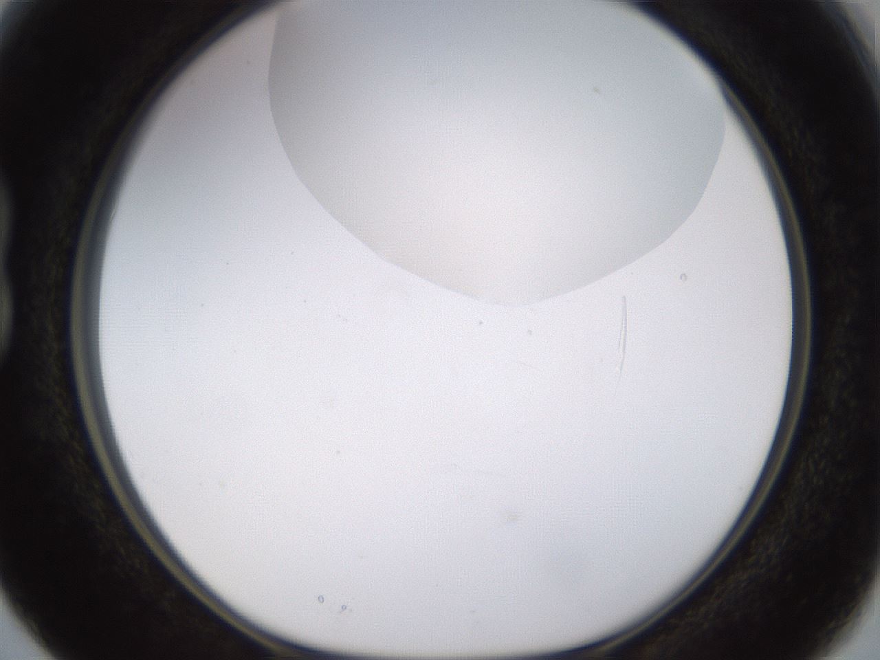 folderID562_plateID1562_batchID6303_wellNum15_profileID1_d1_r101378_ef.jpg