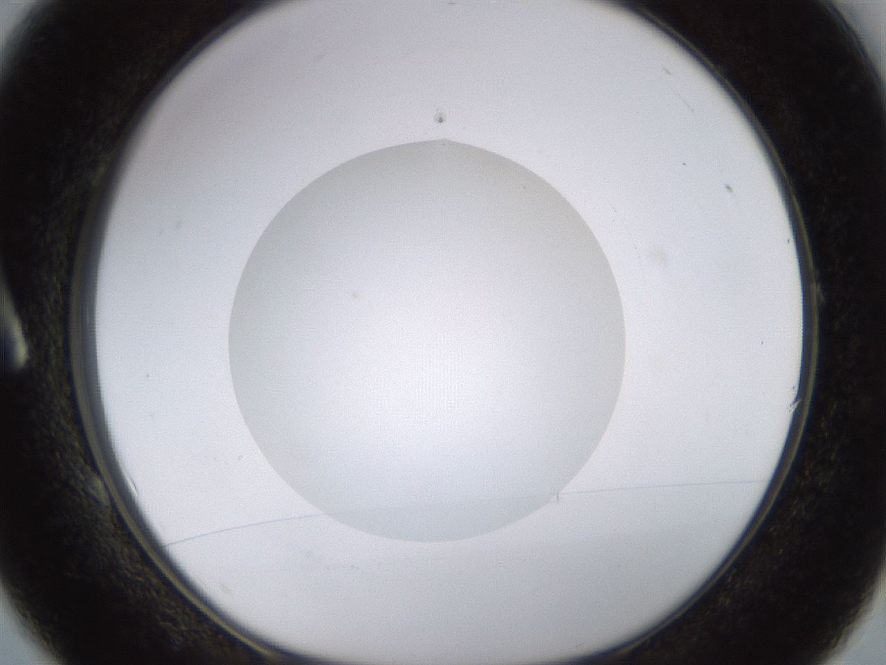 folderID562_plateID1562_batchID6303_wellNum1_profileID1_d1_r101364_ef.jpg