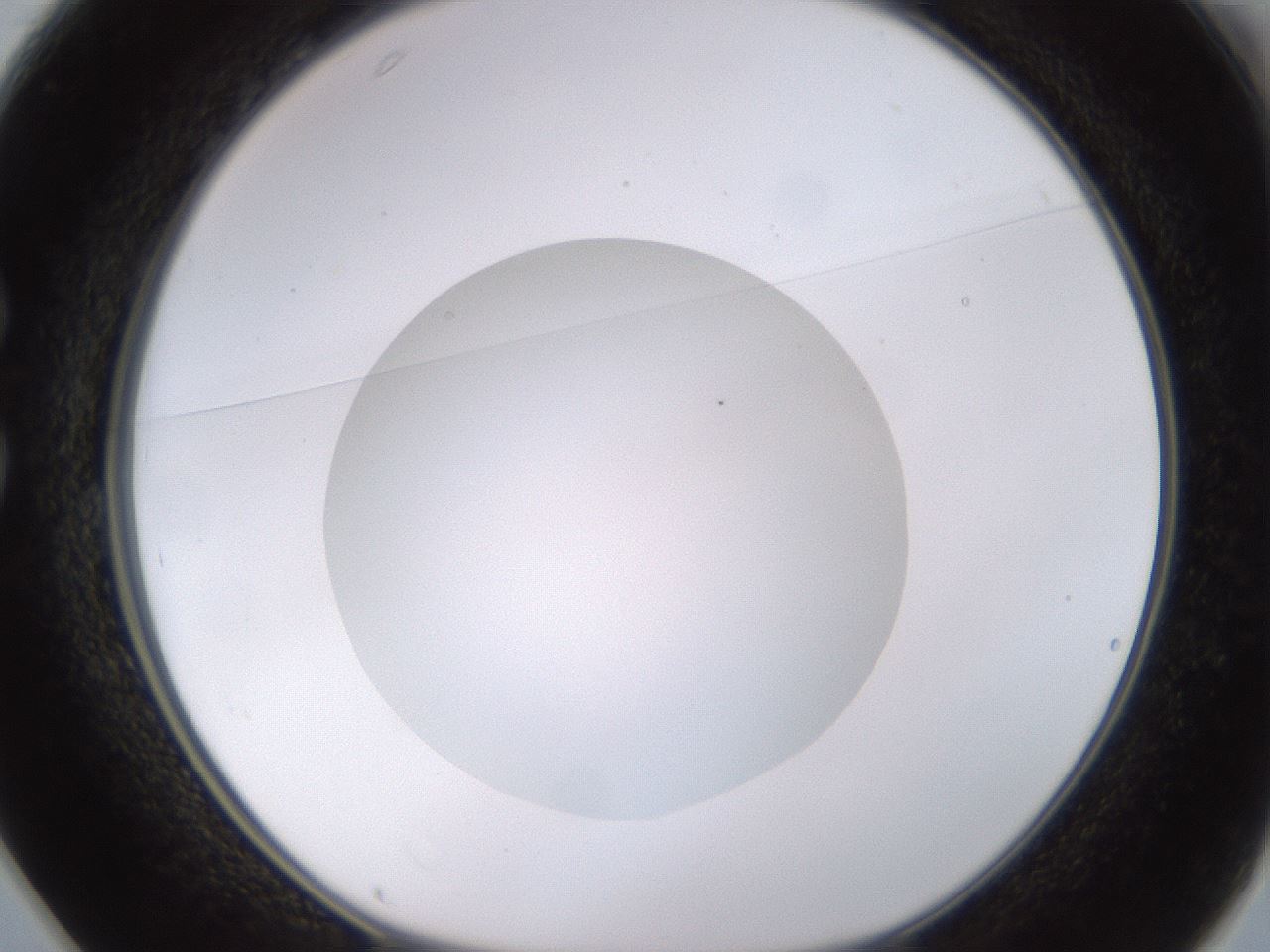 folderID562_plateID1562_batchID6303_wellNum25_profileID1_d1_r101388_ef.jpg