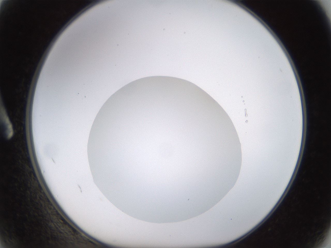 folderID562_plateID1562_batchID6303_wellNum2_profileID1_d1_r101365_ef.jpg