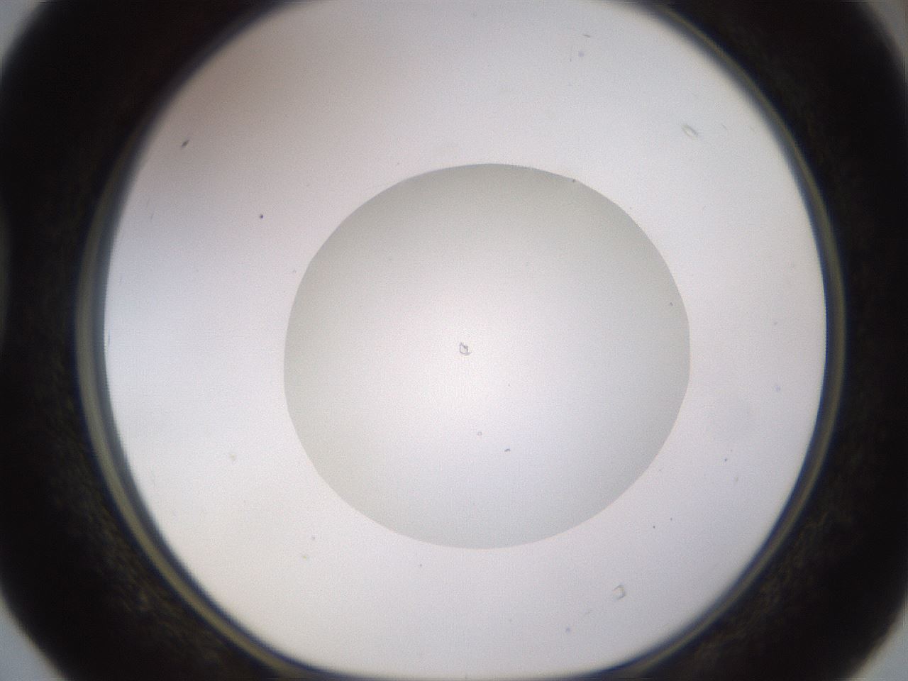 folderID562_plateID1562_batchID6303_wellNum40_profileID1_d1_r101403_ef.jpg