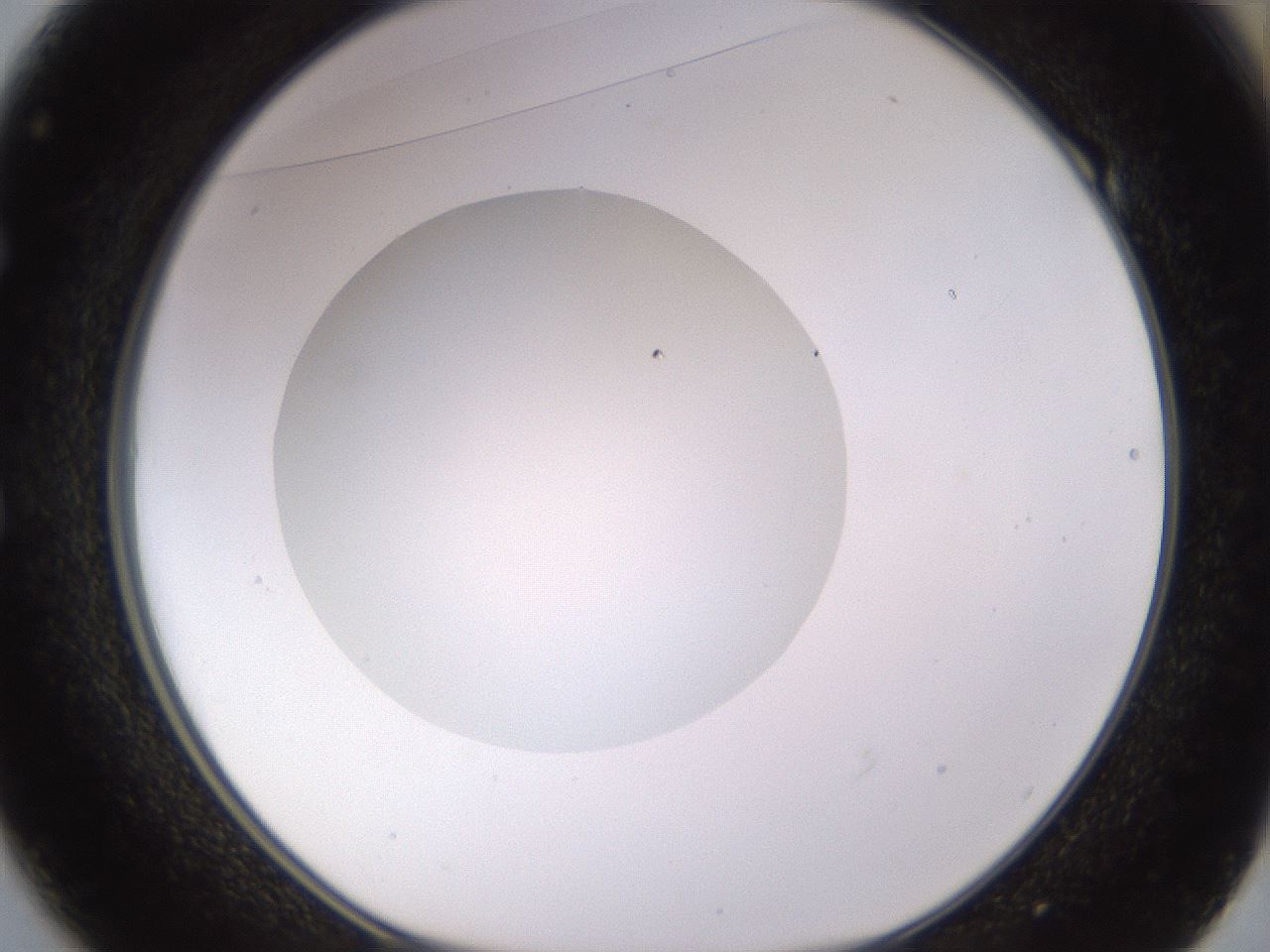 folderID562_plateID1562_batchID6303_wellNum49_profileID1_d1_r101412_ef.jpg