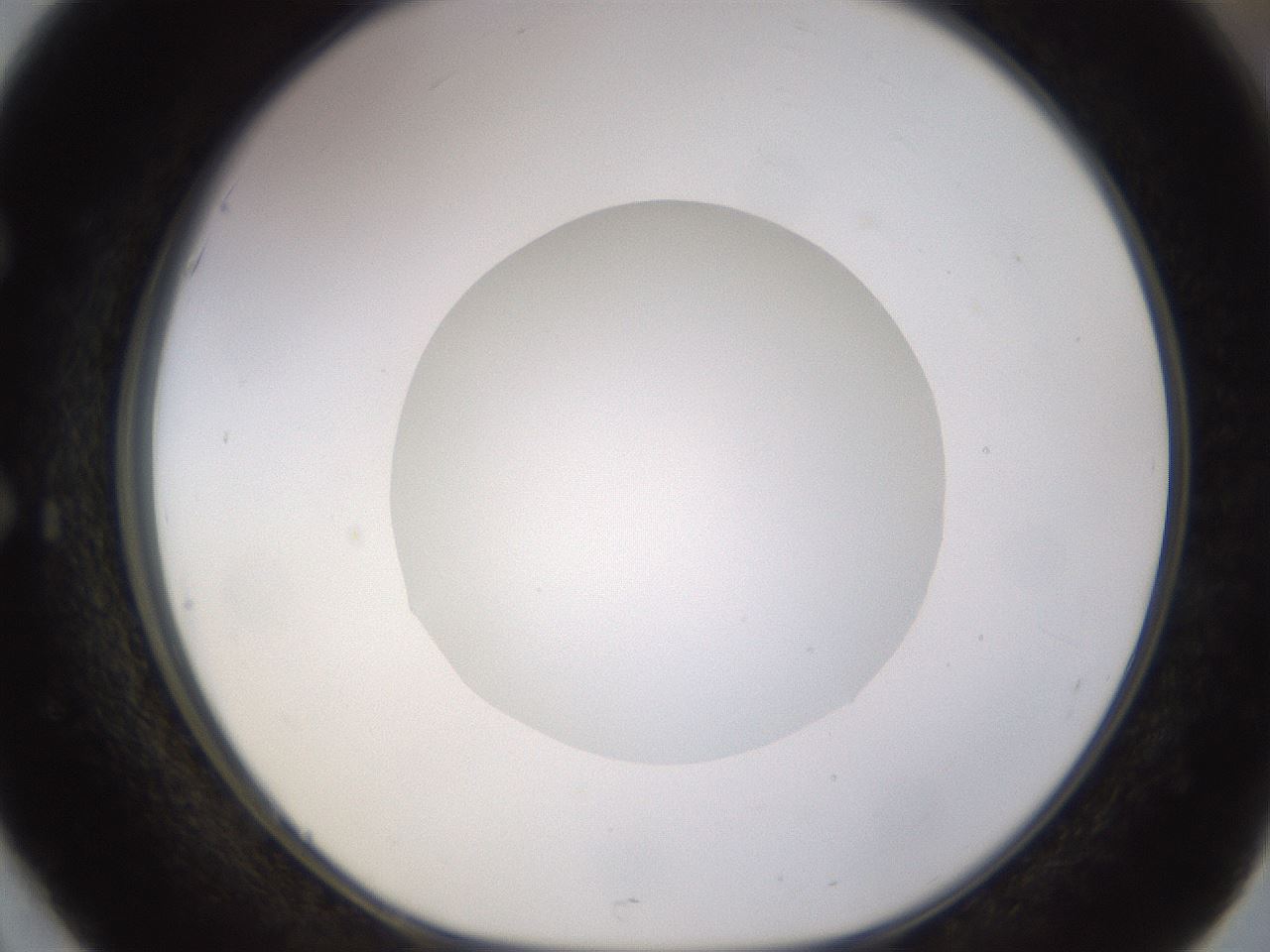 folderID562_plateID1562_batchID6303_wellNum51_profileID1_d1_r101414_ef.jpg