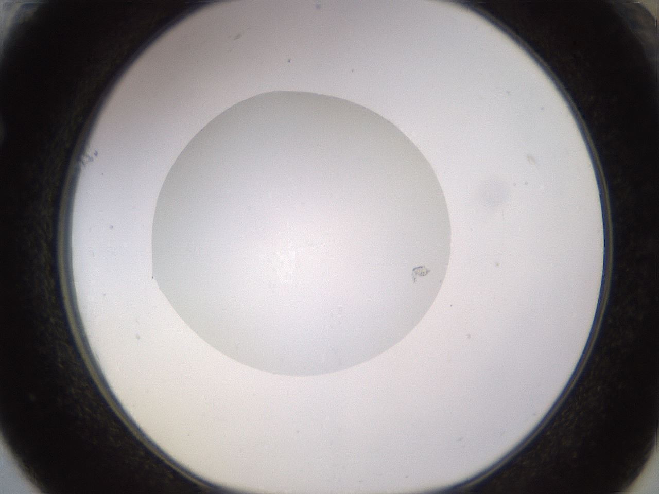 folderID562_plateID1562_batchID6303_wellNum61_profileID1_d1_r101424_ef.jpg