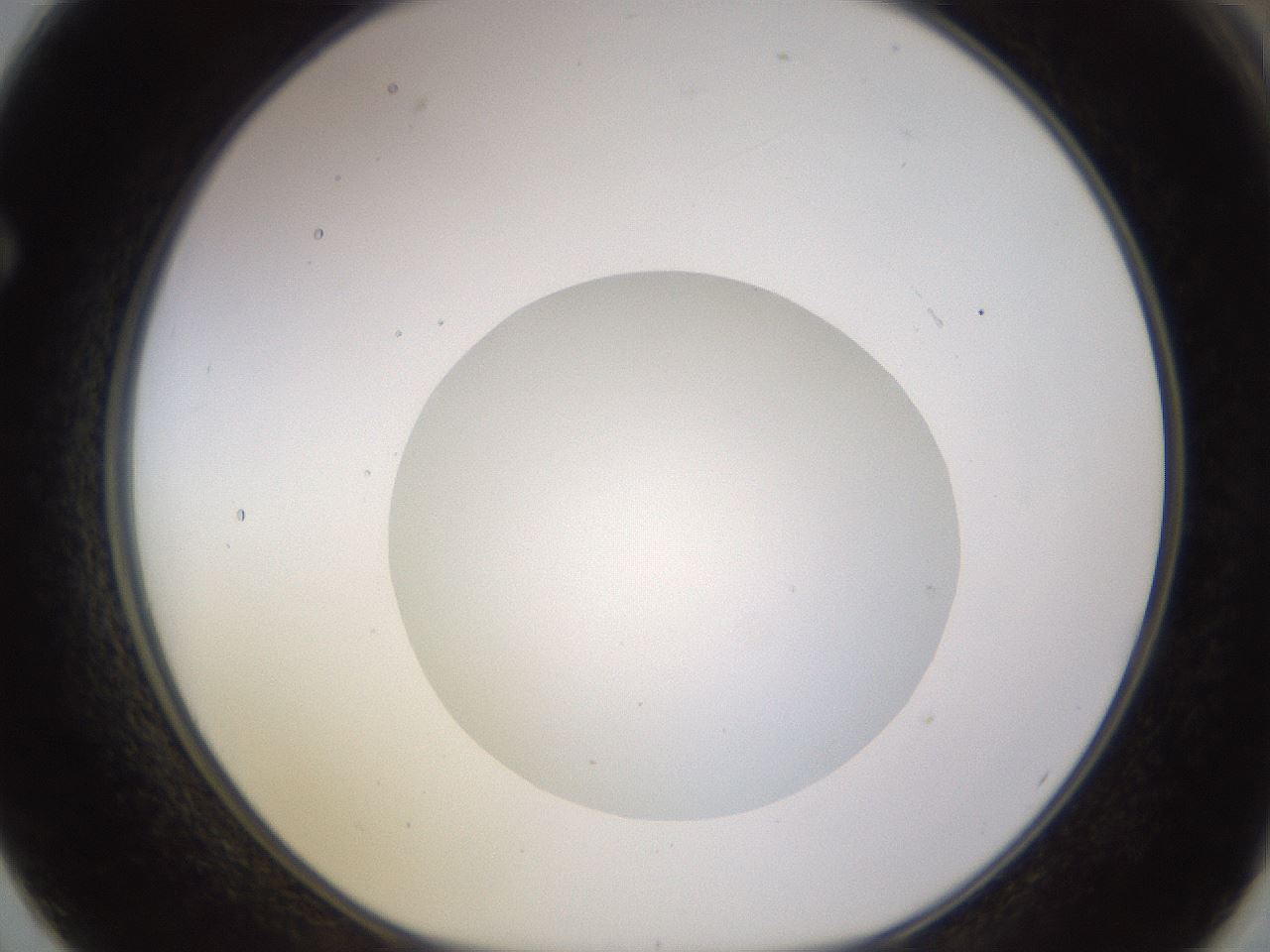 folderID562_plateID1562_batchID6303_wellNum62_profileID1_d1_r101425_ef.jpg