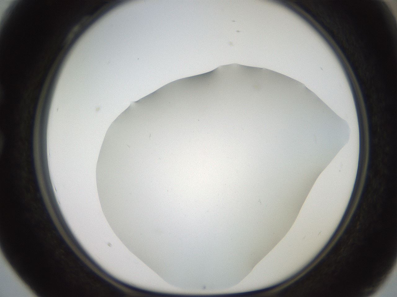 folderID562_plateID2562_batchID12850_wellNum28_profileID1_d1_r195135_ef.jpg