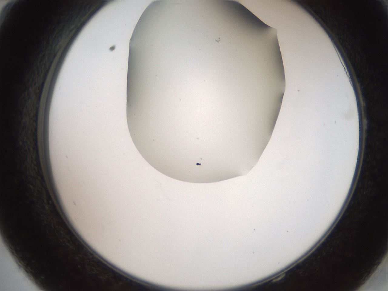 folderID562_plateID2562_batchID12850_wellNum58_profileID1_d2_r195196_ef.jpg